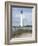 Cape May-David Knowlton-Framed Giclee Print