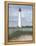 Cape May-David Knowlton-Framed Premier Image Canvas