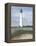 Cape May-David Knowlton-Framed Premier Image Canvas