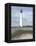 Cape May-David Knowlton-Framed Premier Image Canvas