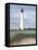 Cape May-David Knowlton-Framed Premier Image Canvas