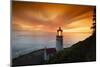 Cape Meares Lighthouse at golden hour, Tillamook County, Oregon, USA-Panoramic Images-Mounted Photographic Print