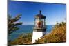 Cape Meares Lighthouse, from Cape Meares, Oregon, USA-Craig Tuttle-Mounted Photographic Print