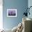 Cape Neddick Lighthouse, The Nubble, Maine, USA-Jerry & Marcy Monkman-Framed Photographic Print displayed on a wall