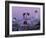 Cape Neddick Lighthouse, The Nubble, Maine, USA-Jerry & Marcy Monkman-Framed Photographic Print