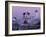 Cape Neddick Lighthouse, The Nubble, Maine, USA-Jerry & Marcy Monkman-Framed Photographic Print