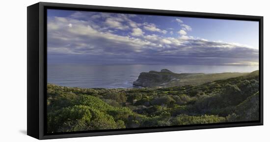 Cape of Good Hope, Cape Point National Park, Cape Town, Western Cape, South Africa, Africa-Ian Trower-Framed Premier Image Canvas