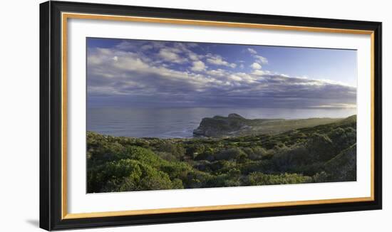 Cape of Good Hope, Cape Point National Park, Cape Town, Western Cape, South Africa, Africa-Ian Trower-Framed Photographic Print