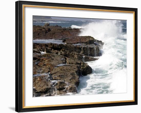 Cape of Good Hope, National Park, Near Cape Town, South Africa, Africa-Thorsten Milse-Framed Photographic Print