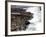 Cape of Good Hope, National Park, Near Cape Town, South Africa, Africa-Thorsten Milse-Framed Photographic Print