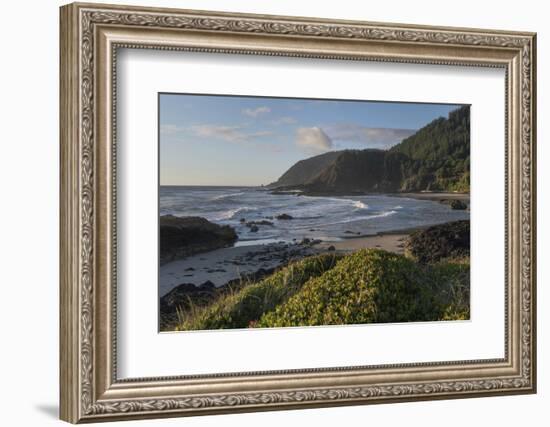 Cape Perpetua, Oregon.-Alan Majchrowicz-Framed Photographic Print