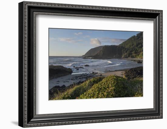 Cape Perpetua, Oregon.-Alan Majchrowicz-Framed Photographic Print