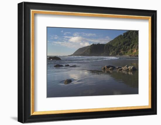 Cape Perpetua, Oregon.-Alan Majchrowicz-Framed Photographic Print