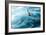 Cape Petrel - Pintado Petrel in Flight South Georgia-Renato Granieri-Framed Photographic Print