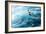 Cape Petrel - Pintado Petrel in Flight South Georgia-Renato Granieri-Framed Photographic Print