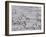 Cape Petrels (Daption Capense), Antarctica, Polar Regions-Sergio Pitamitz-Framed Photographic Print