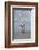 Cape Town, Simon's Town-Cindy Miller Hopkins-Framed Photographic Print