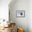 Cape Washington, Antarctica. Adelie Penguin Looking at the Camera-Janet Muir-Framed Photographic Print displayed on a wall