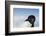 Cape Washington, Antarctica. Adelie Penguin Looking at the Camera-Janet Muir-Framed Photographic Print