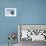 Cape Washington, Antarctica. Adelie Penguin Looking at the Camera-Janet Muir-Framed Photographic Print displayed on a wall