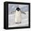 Cape Washington, Antarctica. Adelie Penguin Walks Forward-Janet Muir-Framed Premier Image Canvas