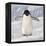 Cape Washington, Antarctica. Adelie Penguin Walks Forward-Janet Muir-Framed Premier Image Canvas