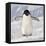 Cape Washington, Antarctica. Adelie Penguin Walks Forward-Janet Muir-Framed Premier Image Canvas