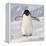 Cape Washington, Antarctica. Adelie Penguin Walks Forward-Janet Muir-Framed Premier Image Canvas