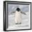 Cape Washington, Antarctica. Adelie Penguin Walks Forward-Janet Muir-Framed Photographic Print