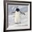 Cape Washington, Antarctica. Adelie Penguin Walks Forward-Janet Muir-Framed Photographic Print