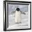 Cape Washington, Antarctica. Adelie Penguin Walks Forward-Janet Muir-Framed Photographic Print