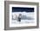 Cape Washington, Antarctica. An Emperor Penguin Chick with Heart-Janet Muir-Framed Photographic Print