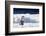 Cape Washington, Antarctica. An Emperor Penguin Chick with Heart-Janet Muir-Framed Photographic Print