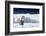 Cape Washington, Antarctica. An Emperor Penguin Chick with Heart-Janet Muir-Framed Photographic Print