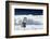 Cape Washington, Antarctica. An Emperor Penguin Chick with Heart-Janet Muir-Framed Photographic Print