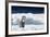 Cape Washington, Antarctica. An Emperor Penguin Chick with Heart-Janet Muir-Framed Photographic Print