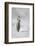 Cape Washington, Antarctica. an Emperor Penguin Chick-Janet Muir-Framed Photographic Print