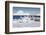 Cape Washington, Antarctica. Emperor Penguin Chicks-Janet Muir-Framed Photographic Print