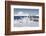 Cape Washington, Antarctica. Emperor Penguin Chicks-Janet Muir-Framed Photographic Print