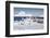 Cape Washington, Antarctica. Emperor Penguin Chicks-Janet Muir-Framed Photographic Print