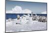 Cape Washington, Antarctica. Emperor Penguin Chicks-Janet Muir-Mounted Photographic Print