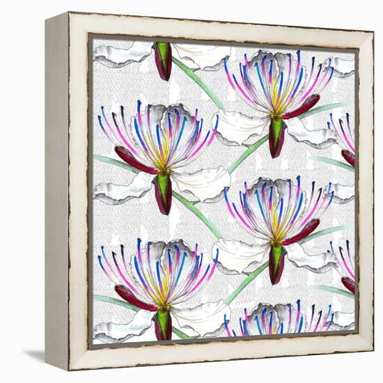 Caper flowers, 2017-Andrew Watson-Framed Premier Image Canvas