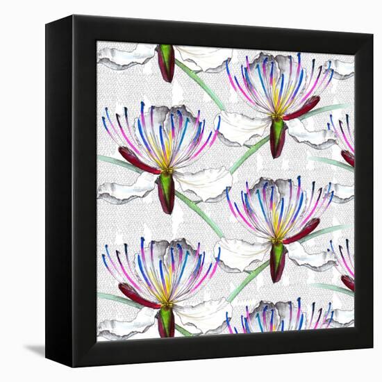 Caper flowers, 2017-Andrew Watson-Framed Premier Image Canvas