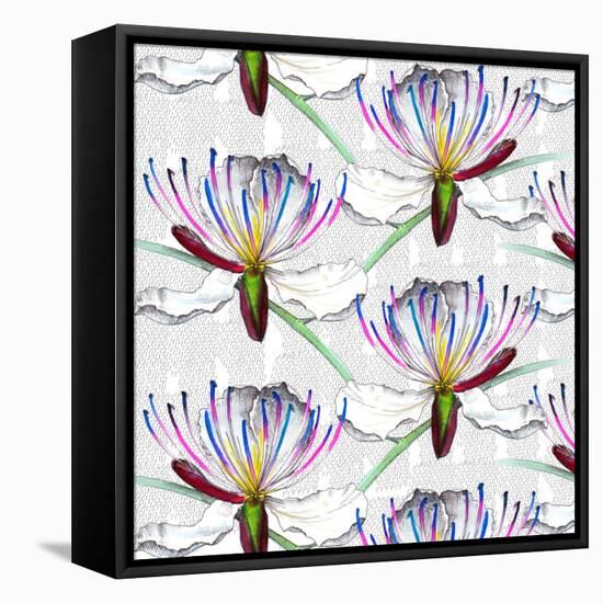 Caper flowers, 2017-Andrew Watson-Framed Premier Image Canvas