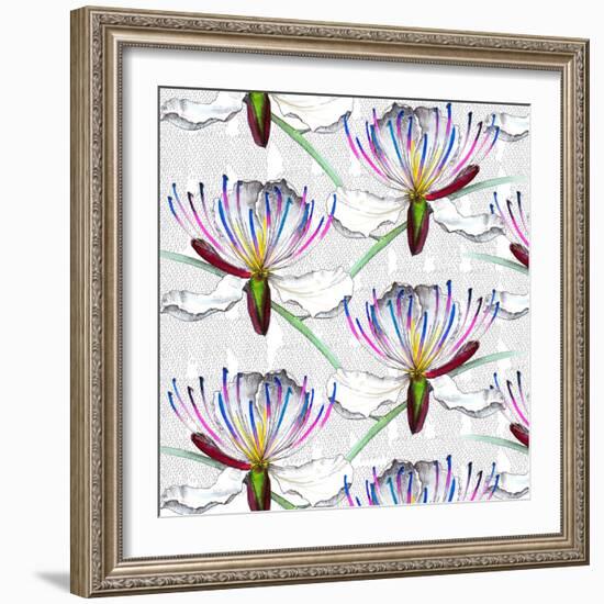 Caper flowers, 2017-Andrew Watson-Framed Giclee Print