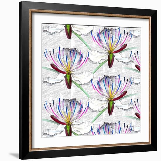 Caper flowers, 2017-Andrew Watson-Framed Giclee Print