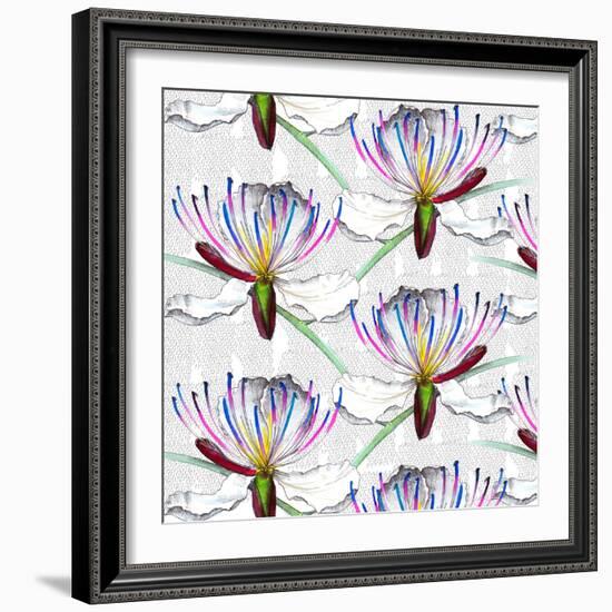 Caper flowers, 2017-Andrew Watson-Framed Giclee Print