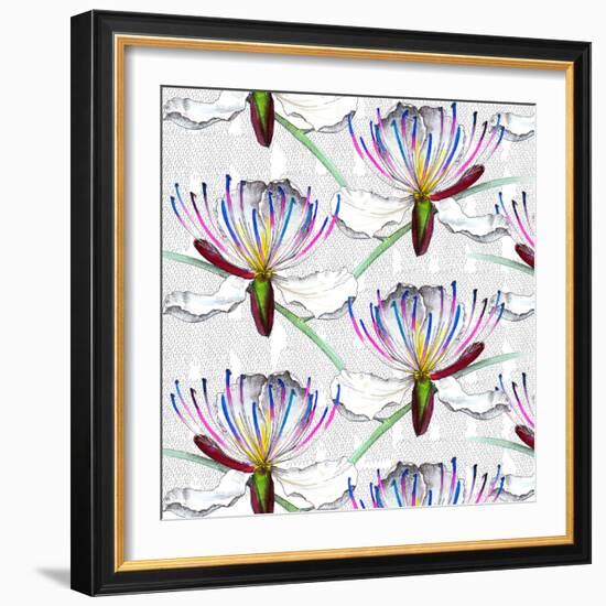 Caper flowers, 2017-Andrew Watson-Framed Giclee Print