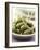 Caper Fruits in a Bowl-Alena Hrbkova-Framed Photographic Print