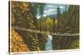 Stretched Canvas Print